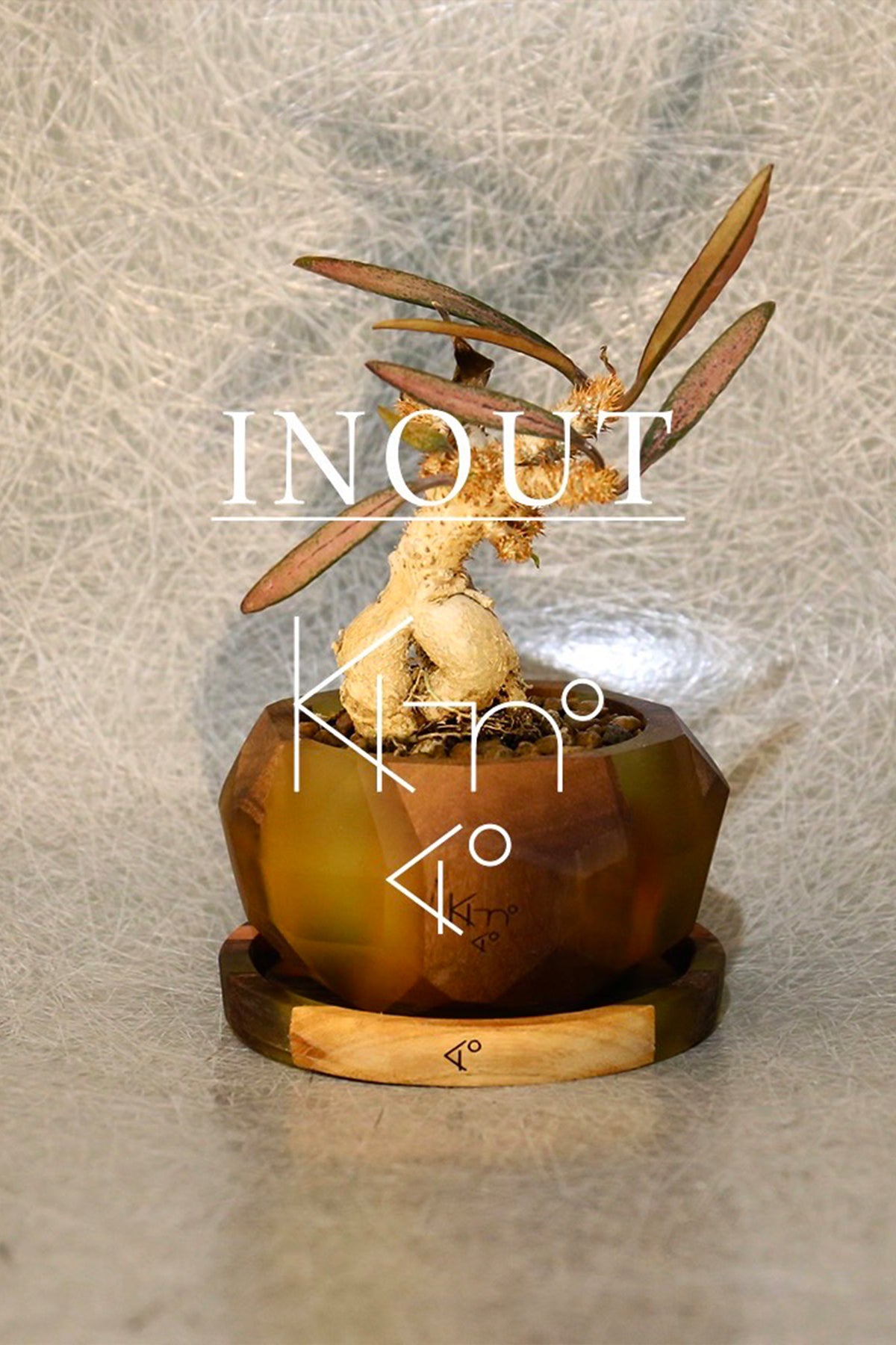 PRODUCTS – KI-no STORE